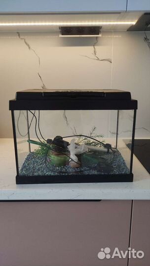 Аквариум с подсветкой и фильтром на 21 литр
