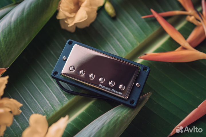 Seymour Duncan TB-14 Custom 5