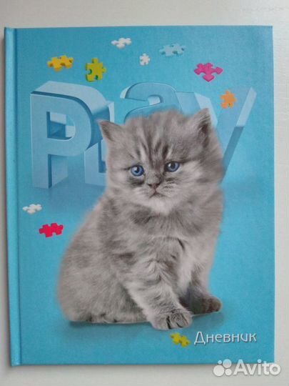 Дневник школьный