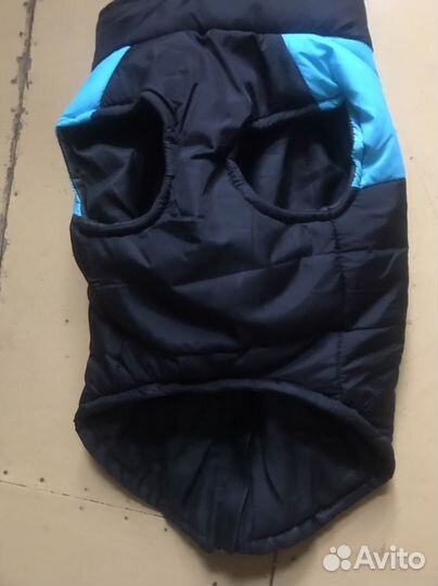 Одежда для собак