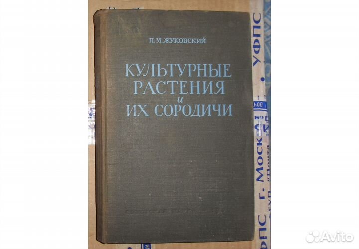 Культурные растения и их сородичи. Жуковский, 1950