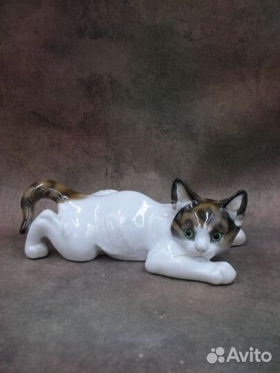 Ползущий котёнок