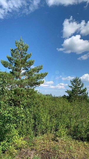 Участок 16 сот. (СНТ, ДНП)