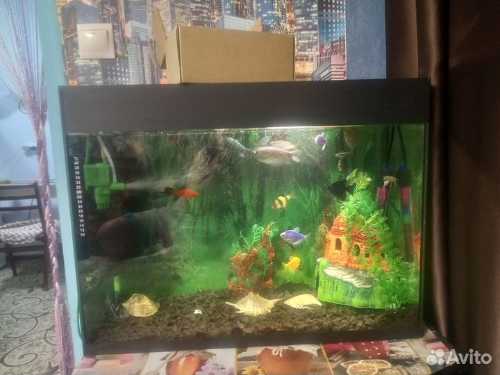 Аквариум