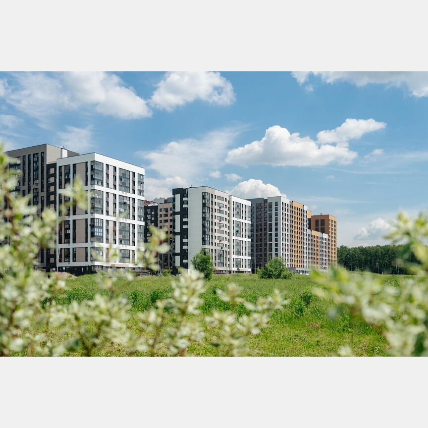 2-к. квартира, 49,8 м², 11/14 эт.