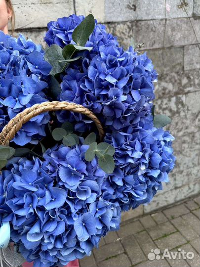 Гортензия синяя букет