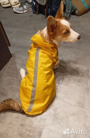 Дождевик для собак средних пород