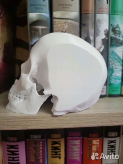 Череп. Держатель для книг