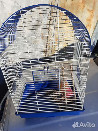 Клетка для птиц или каких то мелких животных
