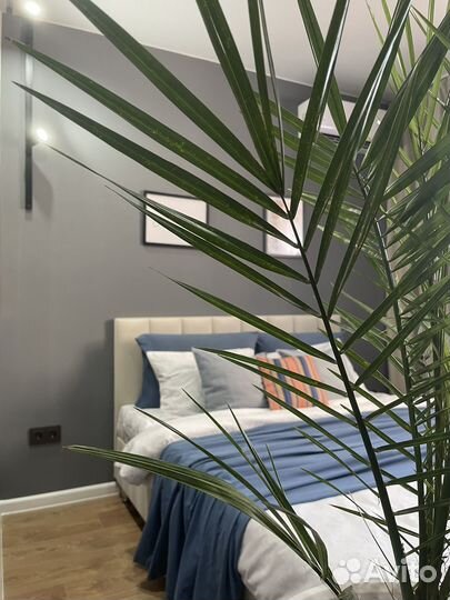 Доверительное управление недвижимостью