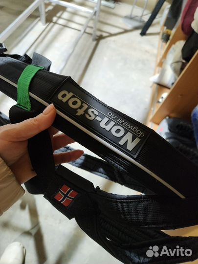 Шлейка для собаки