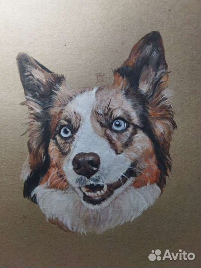 Портрет животных на заказ