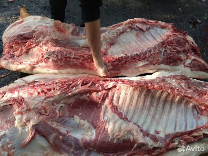 Мясо свинина