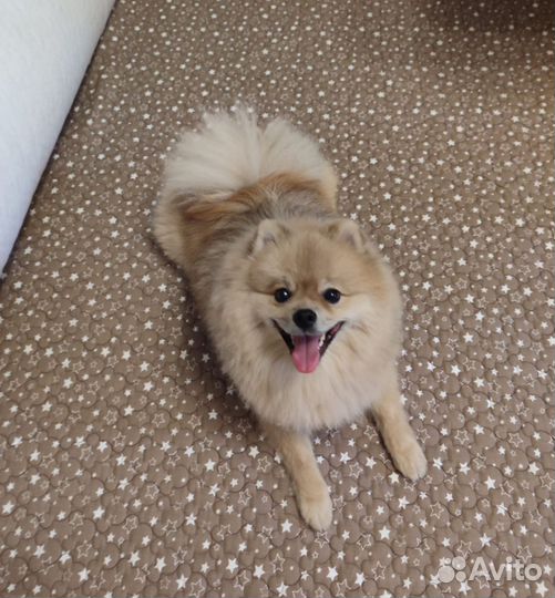 Полотно для многоразовых пелёнок покрывала