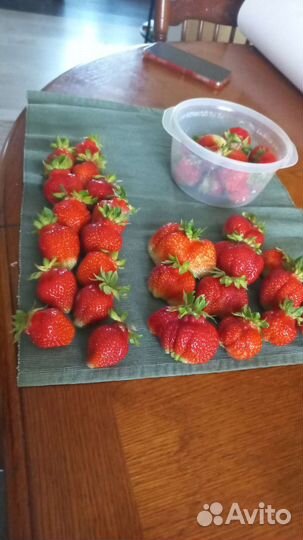 Клубника купчиха, роксана окс