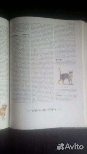 Энциклопедия 