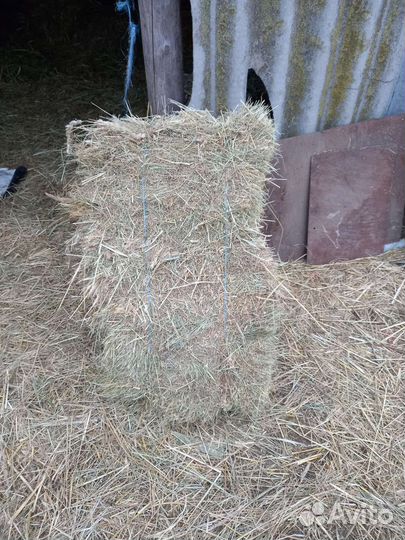 Сено луговое в тюках