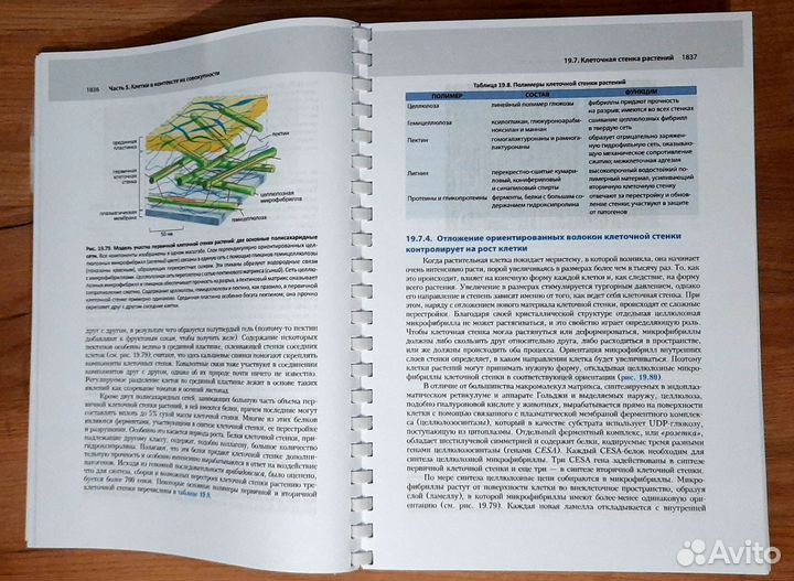 Молекулярная биология клетки (3 Тома, 2023)