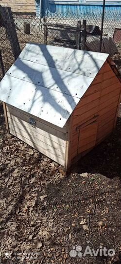 Курятник Б.У