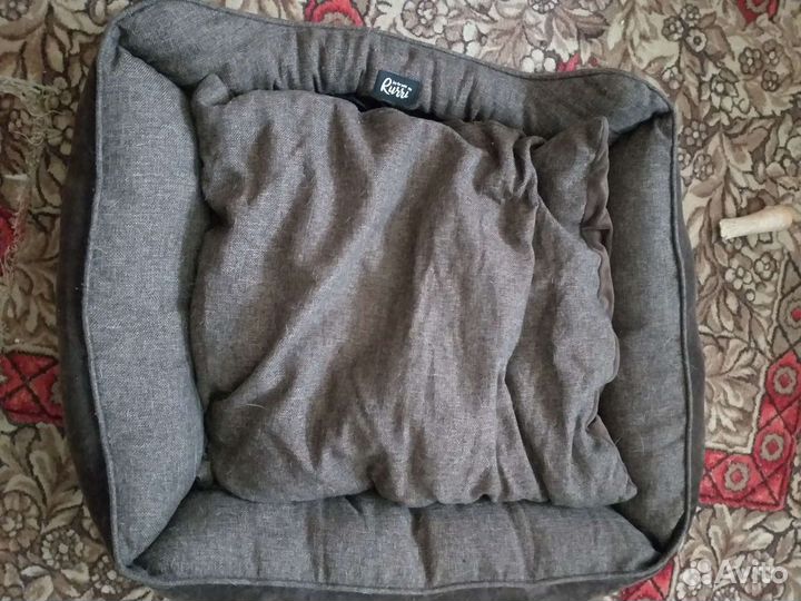 Одежда для собак