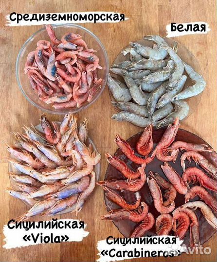 Креветка Мурманская и др.виды