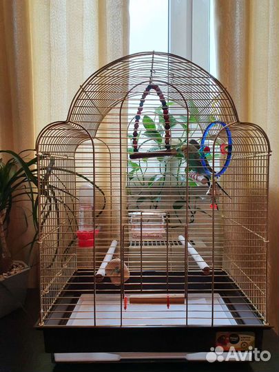 Клетка для волнистых попугаев