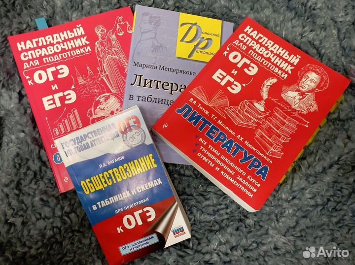 Репетитор по обществознанию и литературе огэ