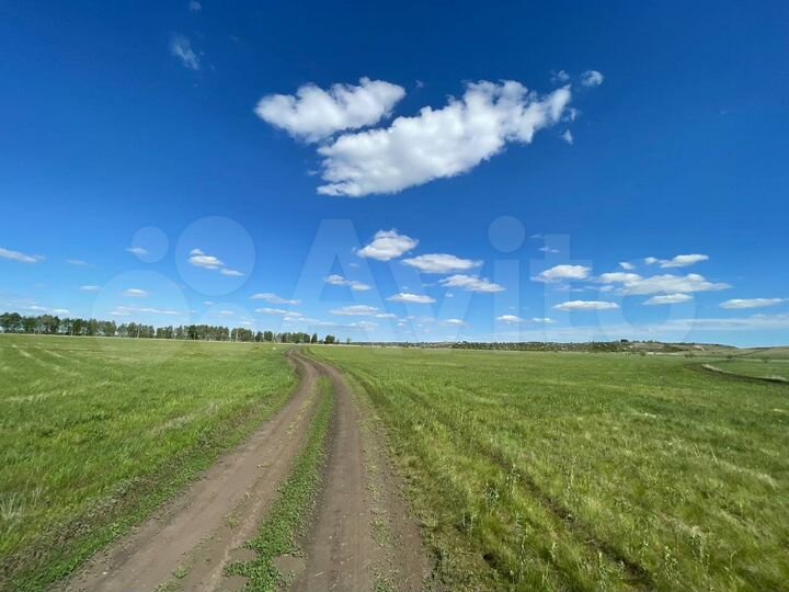 Участок 5,65 га (ИЖС)