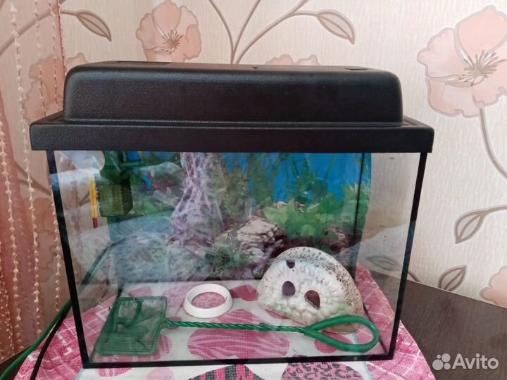 Аквариум