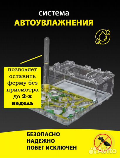 Муравьиная ферма (Формикарий) Стандарт Гигрометр
