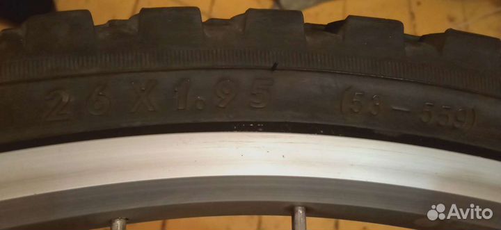 Калеса перед 26