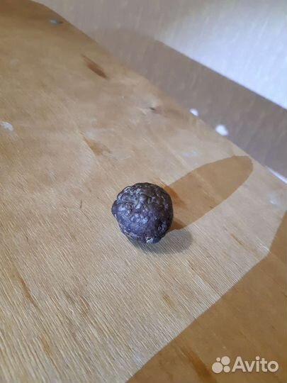 Коллекция особо древних метеоритов и ископаемых