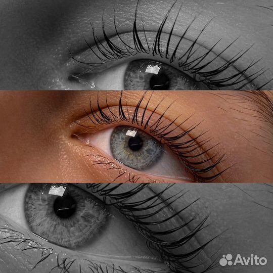 Мастер бровист