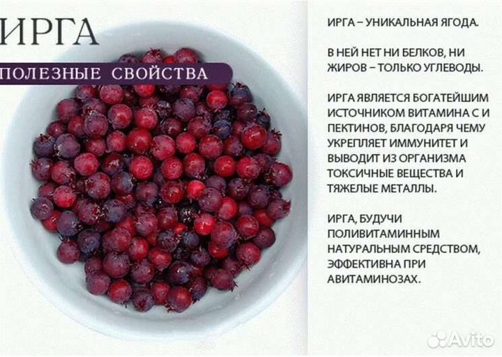 Ирга