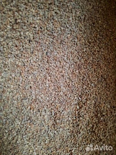 Скорлупа для чистки впуска двигателя