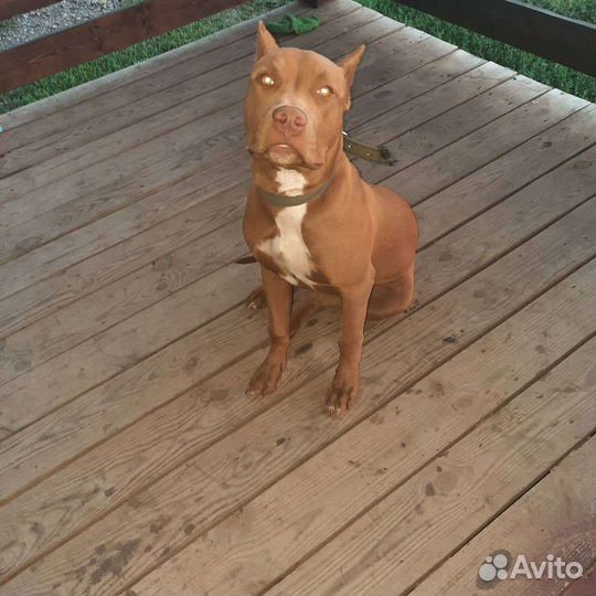 Кабель на вязку