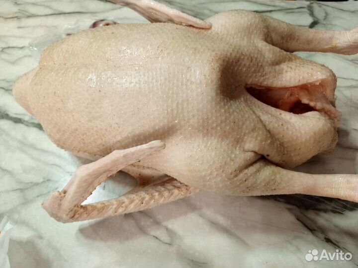 Тушки (мясо) гуся, индейки, куры, утки