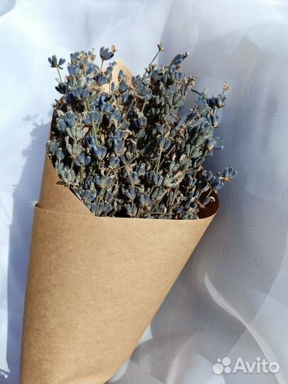 Букет Лаванды 2023года