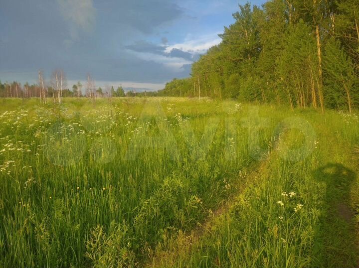 Участок 25 сот. (ИЖС)