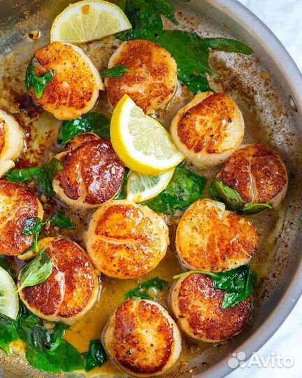 Морской гребешок