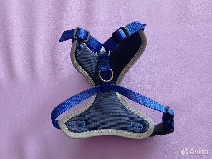 Одежда для маленьких собак