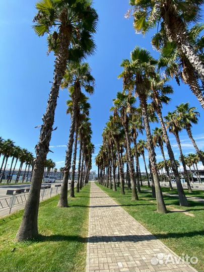 Сочи вылет в Июне из Челябинска туры