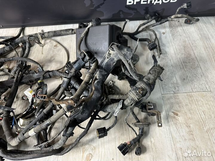 Подкапотная проводка Kia Ceed ED