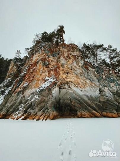 7 янв24 Кын активный: к 