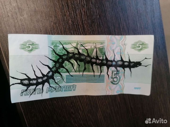 Купюра с сколопендрой