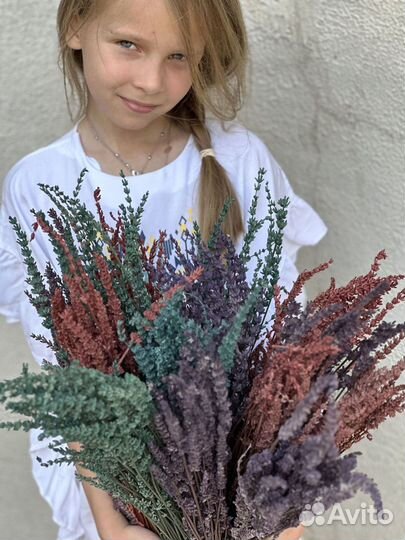 Сухоцветы Лаванда стабилизированная