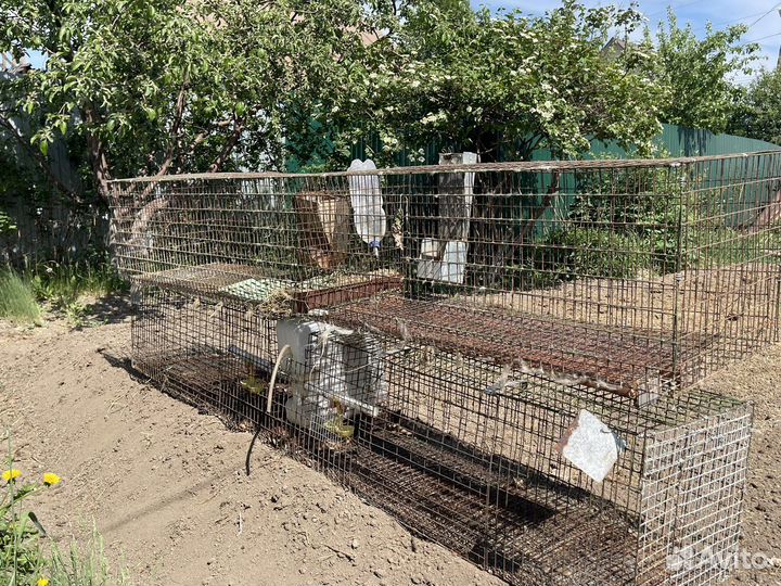 Клетка для кролика
