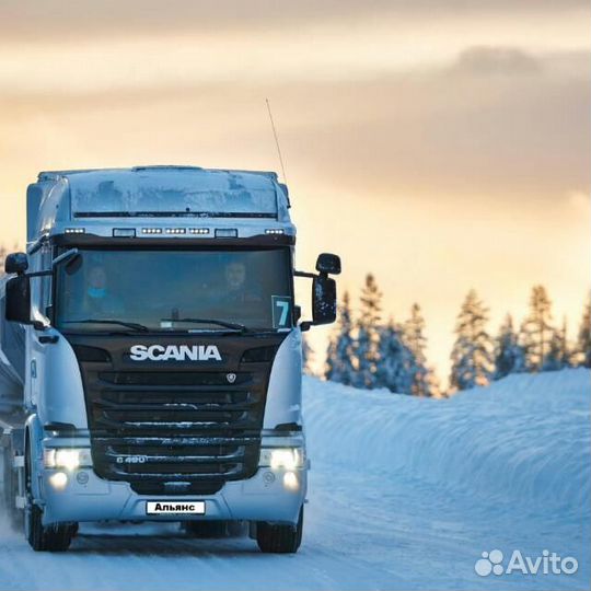 Водитель грузового автомобиля MAN, Scania, Volvo