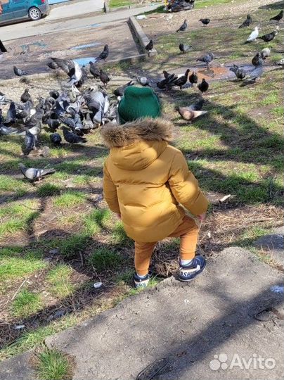 Куртка детская zara