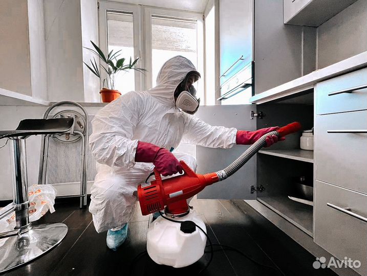Уничтожение тараканов, клопов, запаха/ Дезинфекция